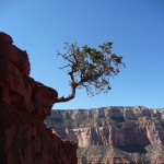 Grand Canyon randonnée